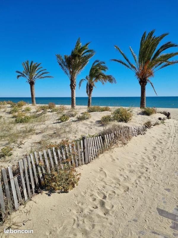Logement De Plein Pied Tout Confort Le Barcarès エクステリア 写真